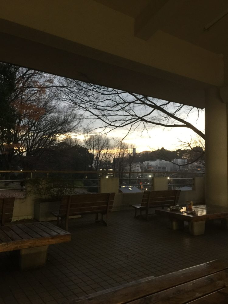 代々木公園