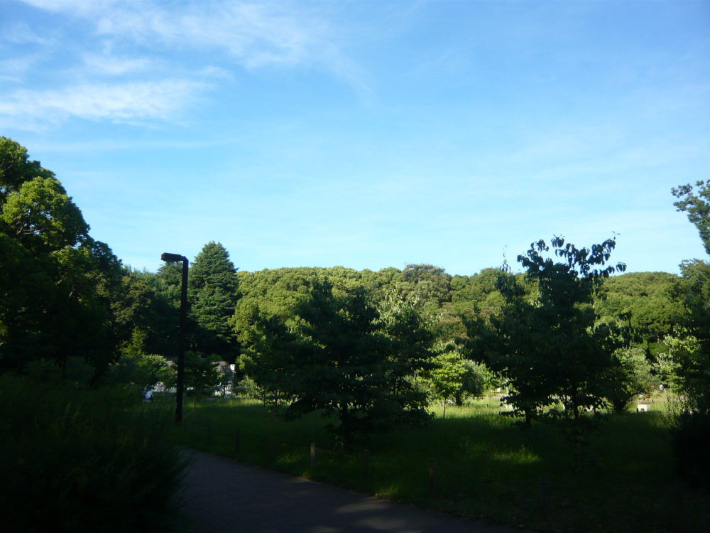 文化とリッチ度