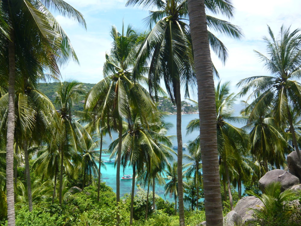 登山は日記にしづらいというか