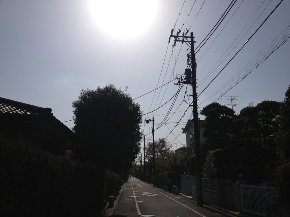 いつかのゴーヤ