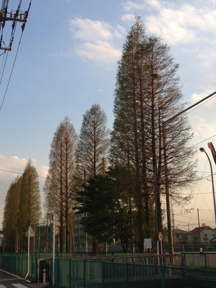 武蔵小杉の光景