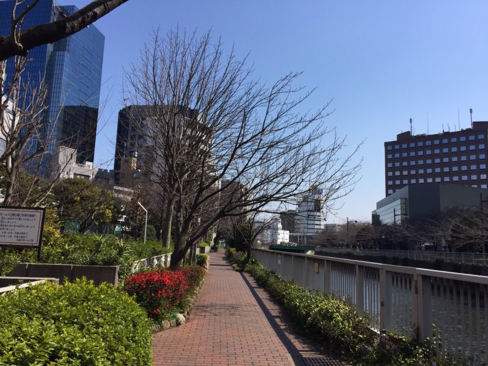 OLモノを噛みしめる夜