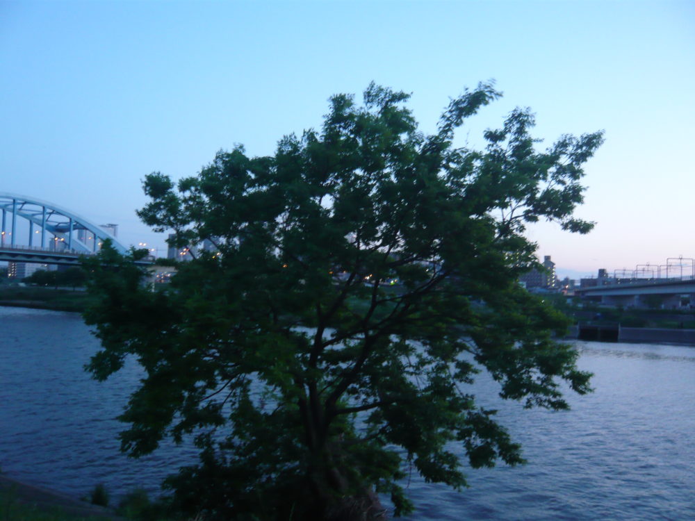 年をとったら笑うだけ