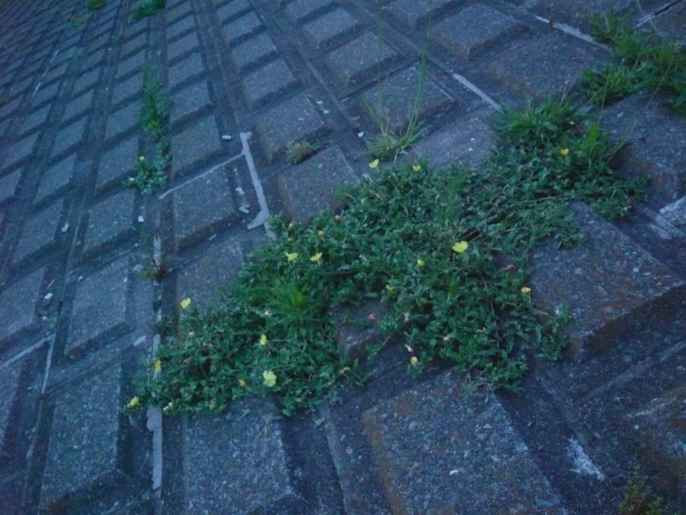満員電車の中で接近するもの
