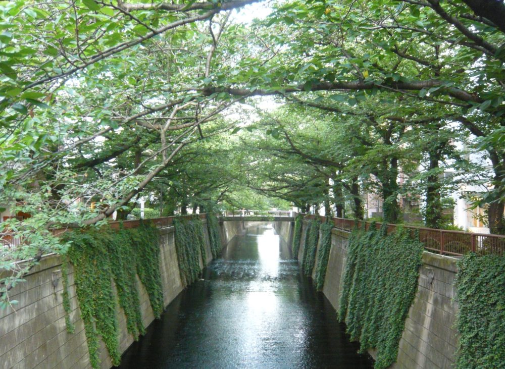 昨日書いた日記in中目黒