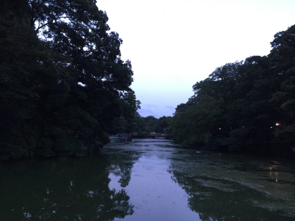 渋谷とバンコクと