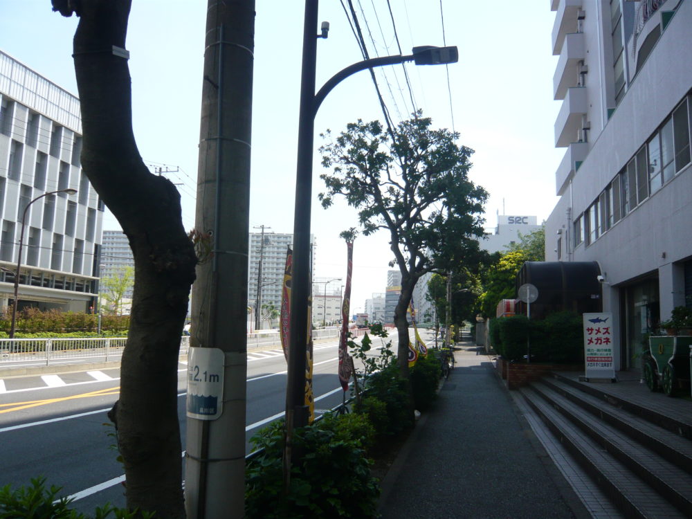 モラトリアム生活today