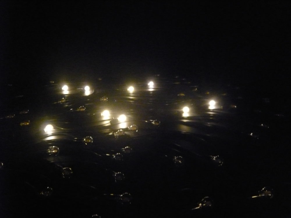 個性と社会性と