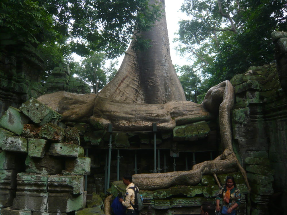 ハンモックの上で年齢詐称