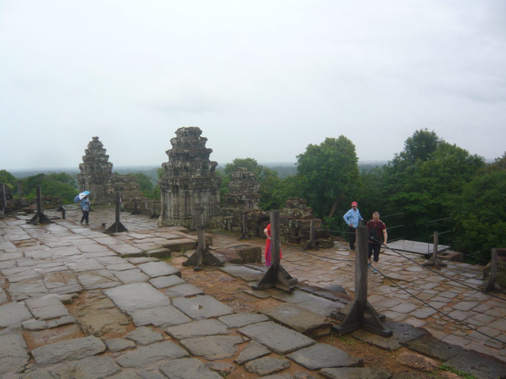 バイタクの彼のこと