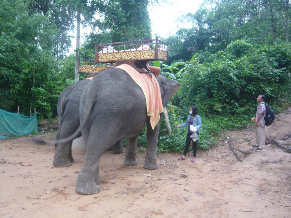 バス釣り屋のおじさんの話