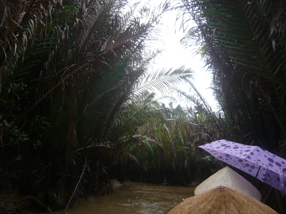 メコン川に、浮かぶ