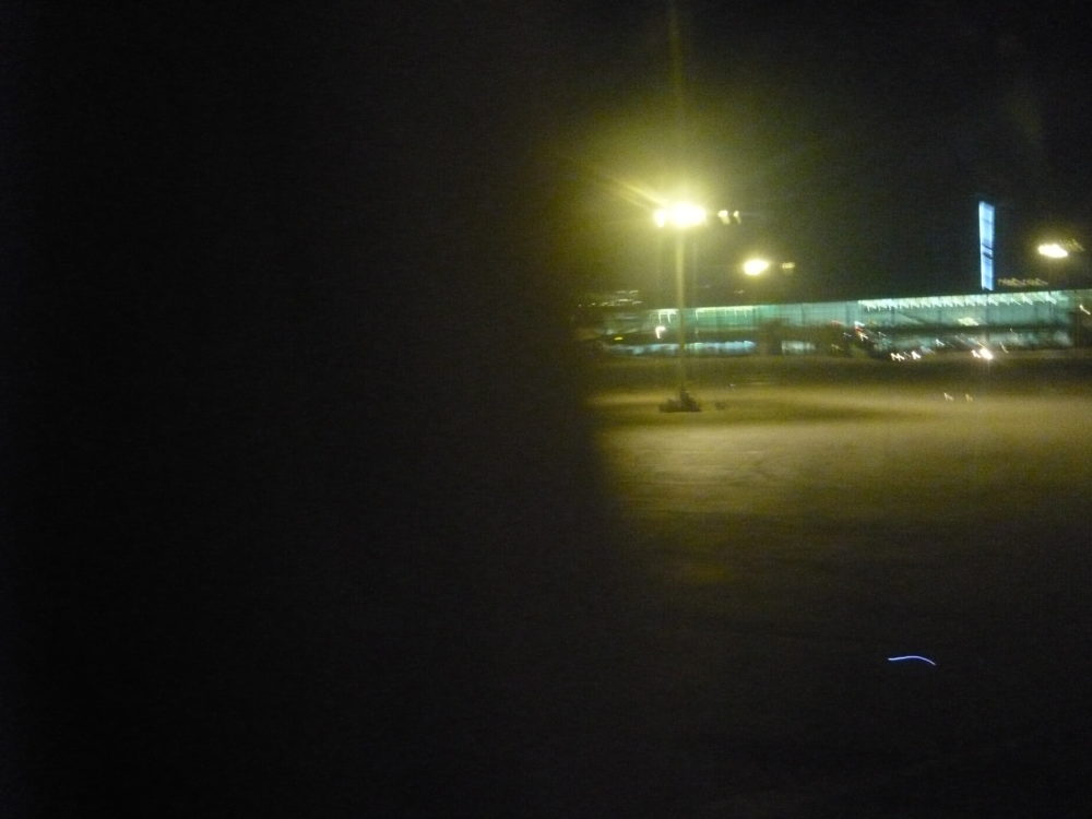 食したエビのタマリンド炒め