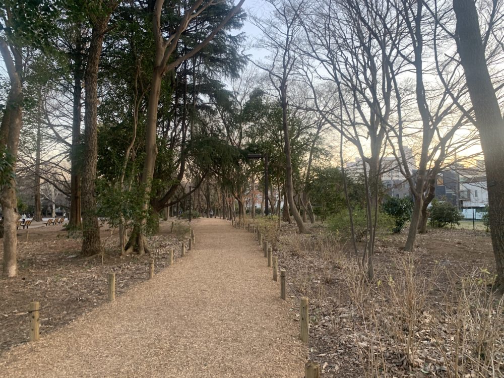 すれ違う女の子にそっぽを向かれた