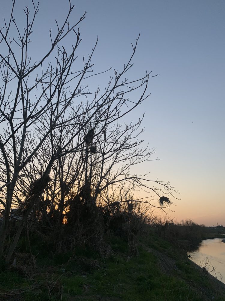 多摩川の果てに