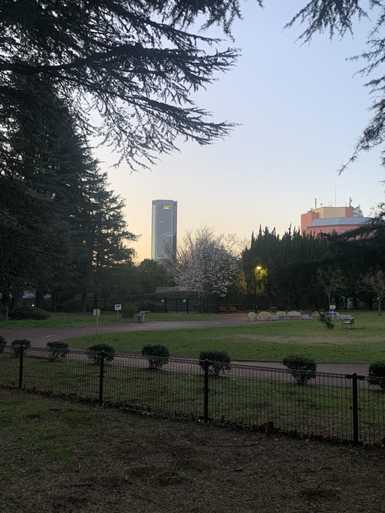 楽器と原宿と経済政策と