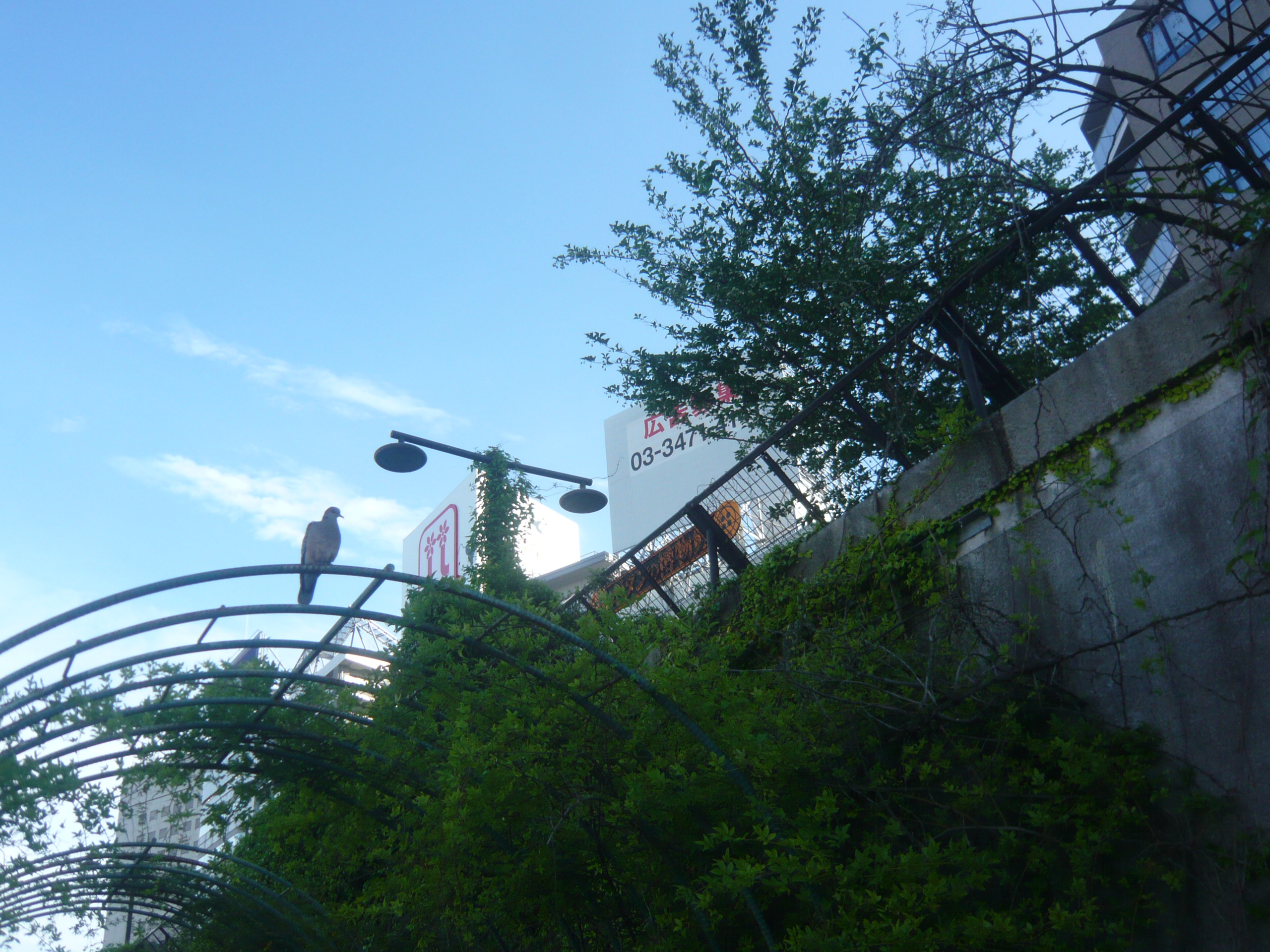 脱炭素をやる会社が好きだ